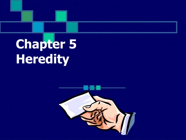Chapter 5 Heredity