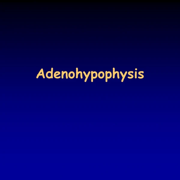 Adenohypophysis