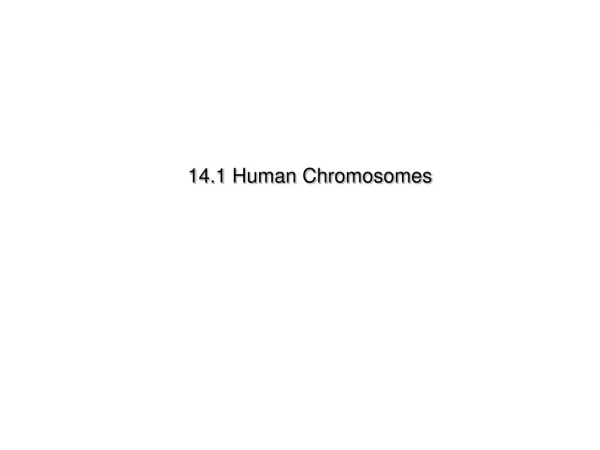 14.1 Human Chromosomes