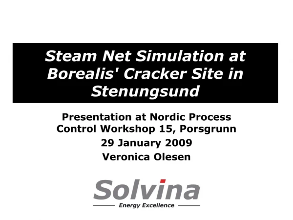 Steam Net Simulation at Borealis' Cracker Site in Stenungsund