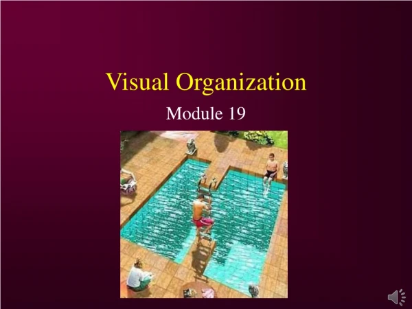 Visual Organization