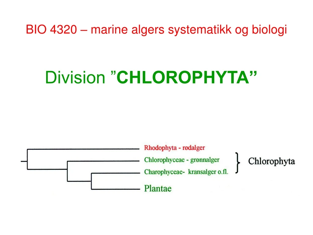 bio 4320 marine algers systematikk og biologi