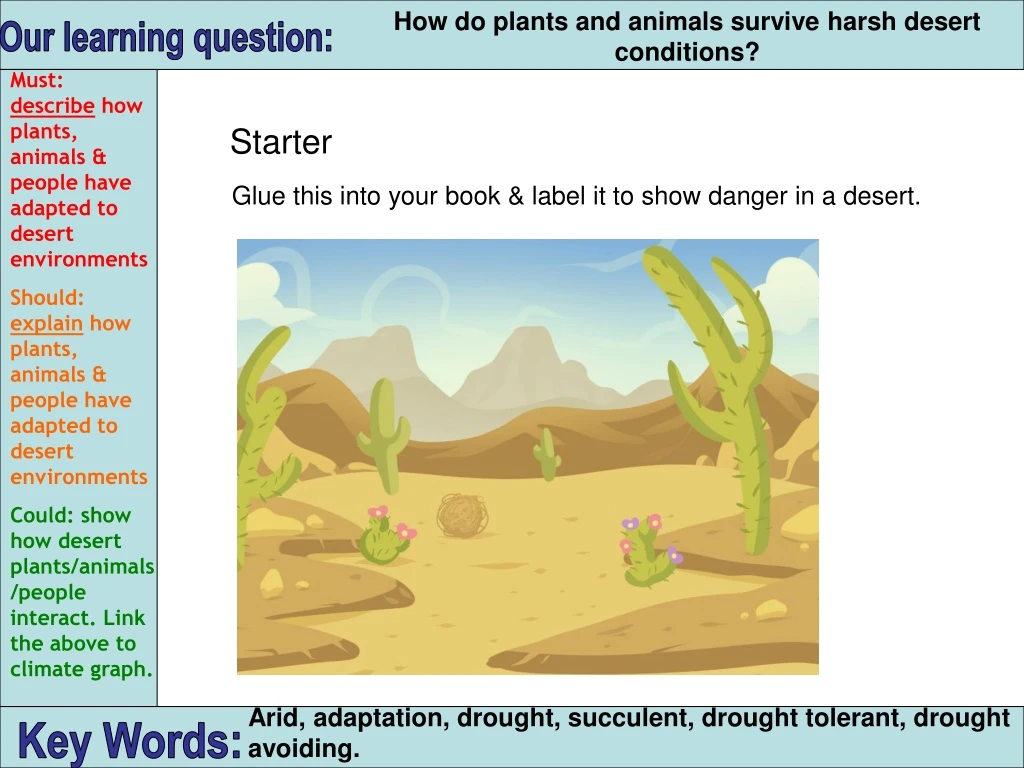 how do plants and animals survive harsh desert