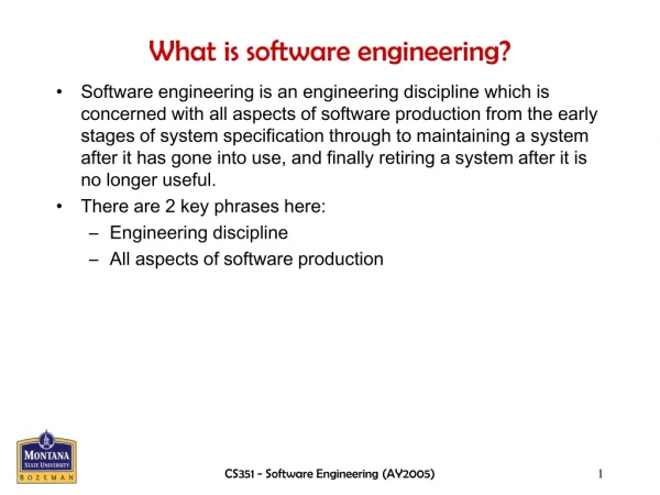 What is software engineering?