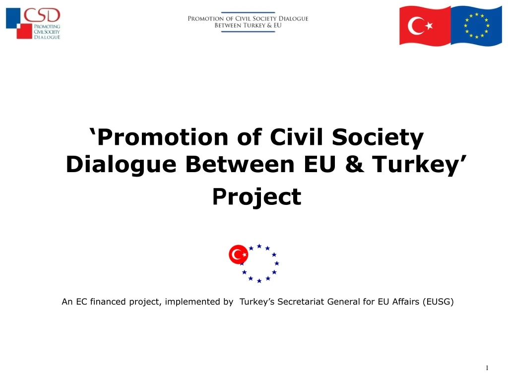 promotion of civil society dialogue between