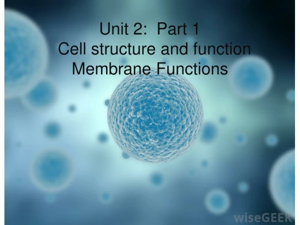 Unit 2: Part 1 Cell structure and function Membrane Functions