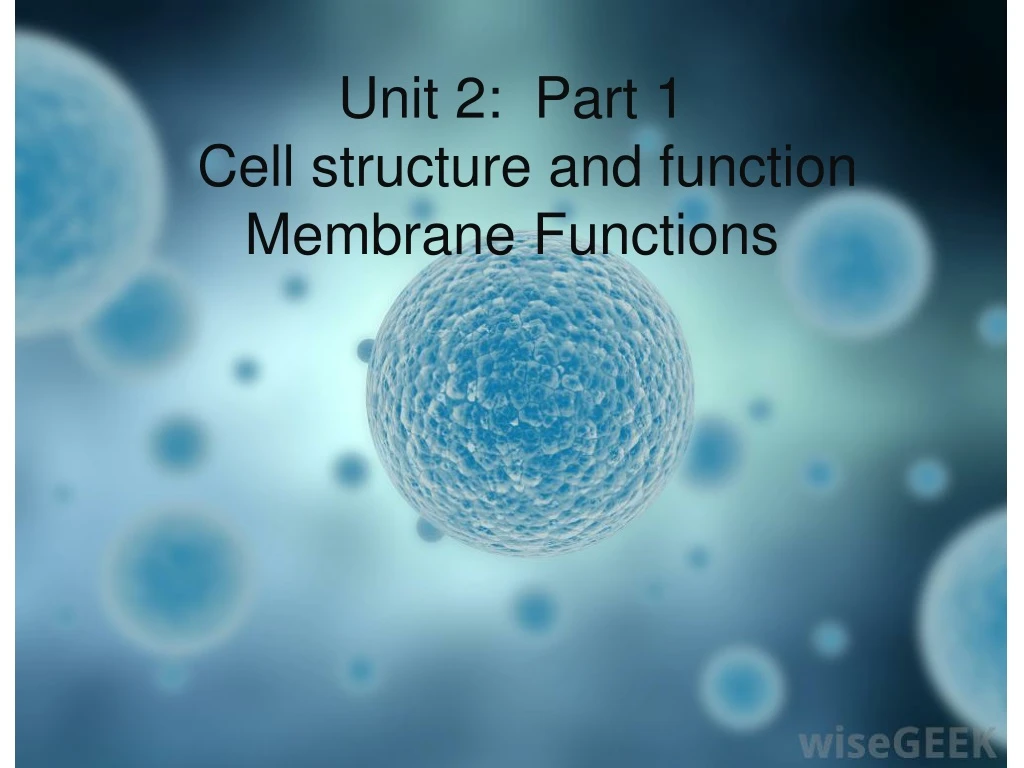 unit 2 part 1 cell structure and function membrane functions