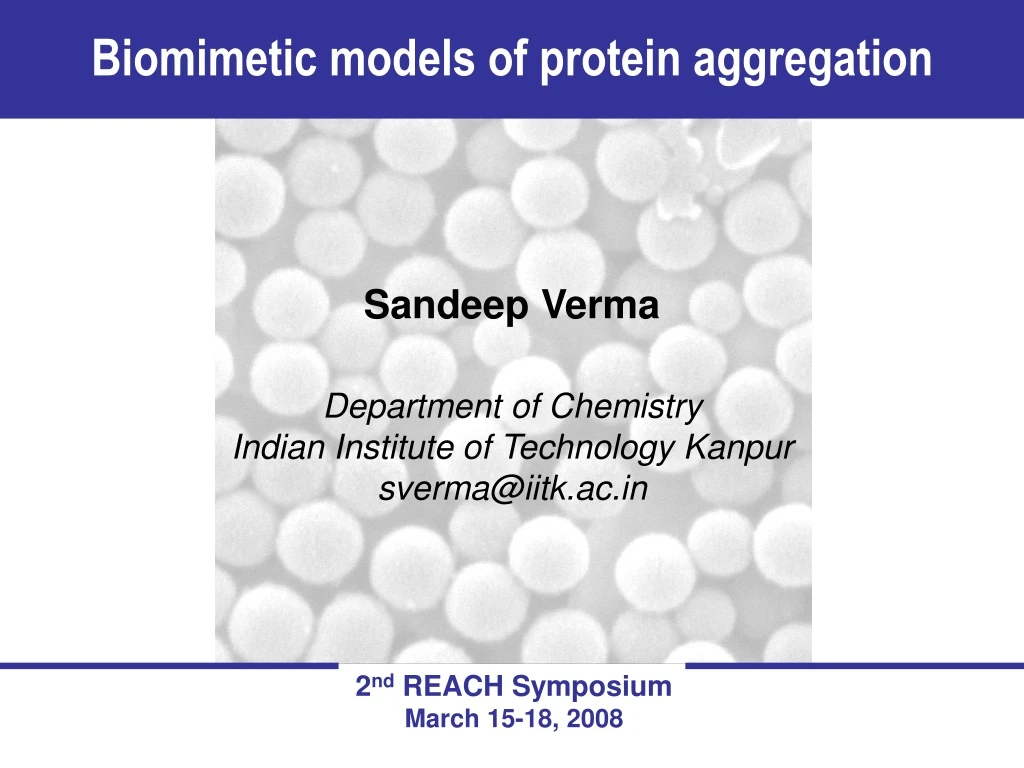 biomimetic models of protein aggregation