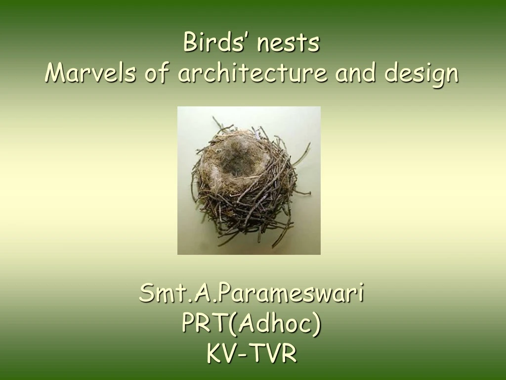 birds nests marvels of architecture and design