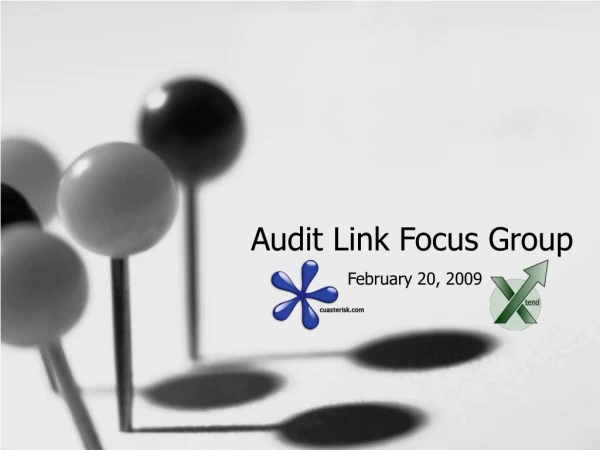 Audit Link Focus Group