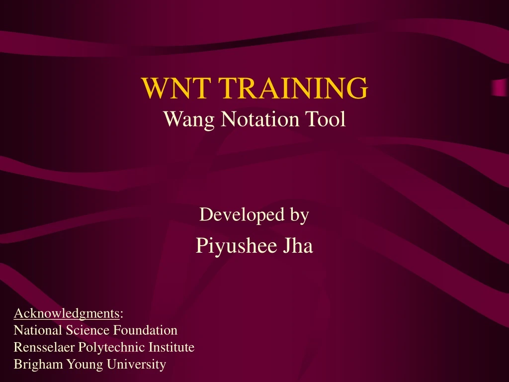 wnt training