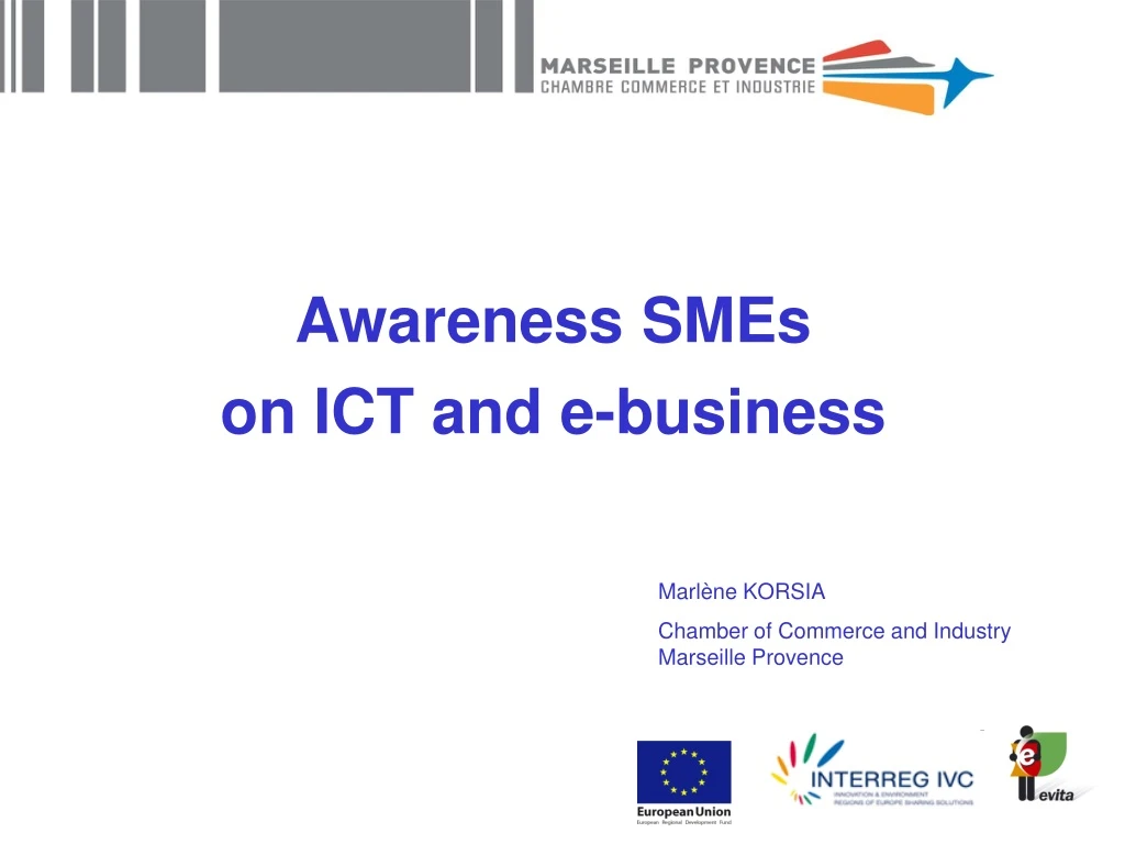 awareness smes on ict and e business