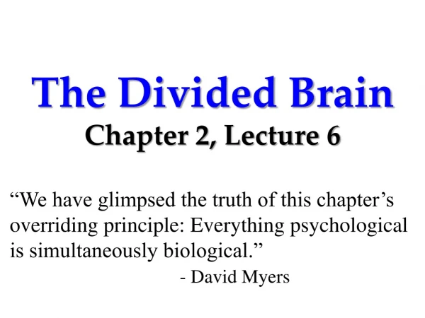 The Divided Brain Chapter 2, Lecture 6