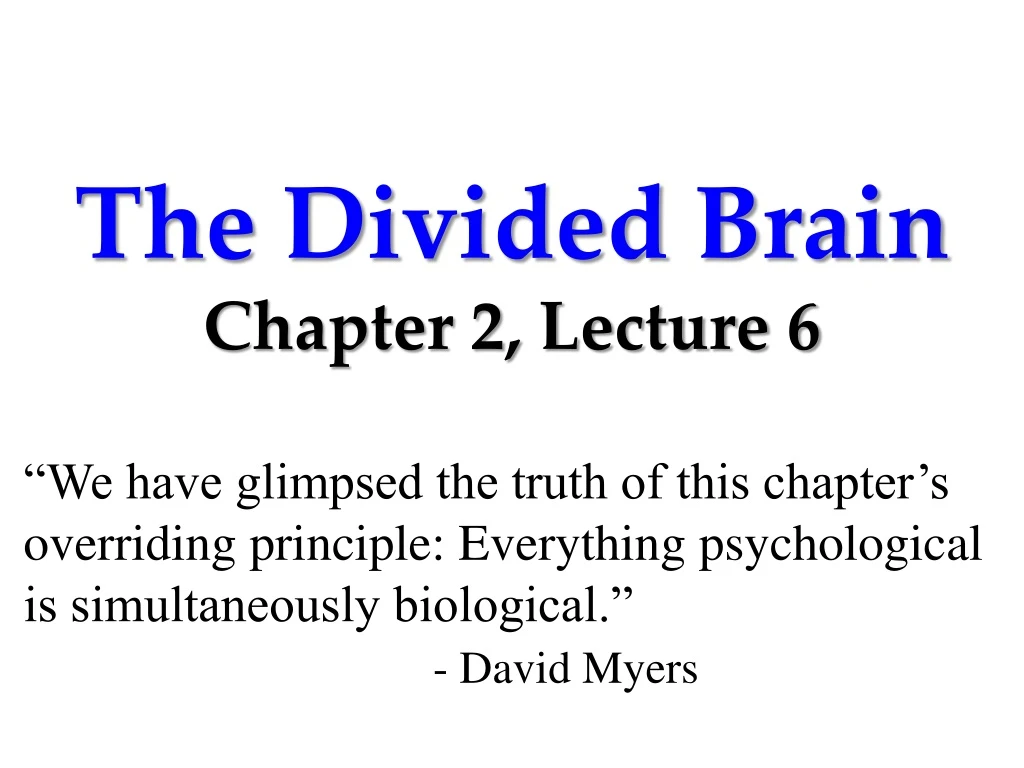 the divided brain chapter 2 lecture 6