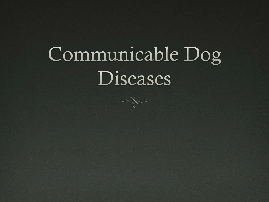 communicable dog diseases