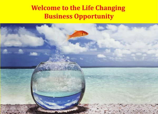 Welcome to the Life Changing Business Opportunity