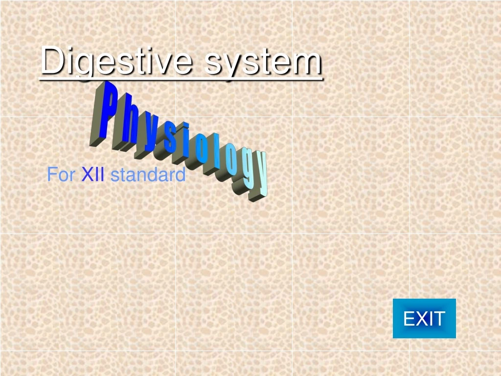 digestive system