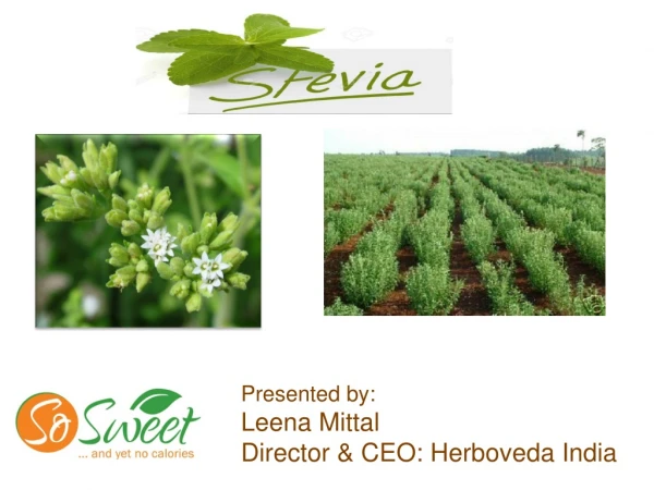 Presented by: Leena Mittal Director &amp; CEO: Herboveda India