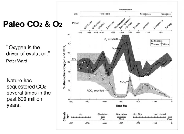 Paleo CO2 (Ward) .