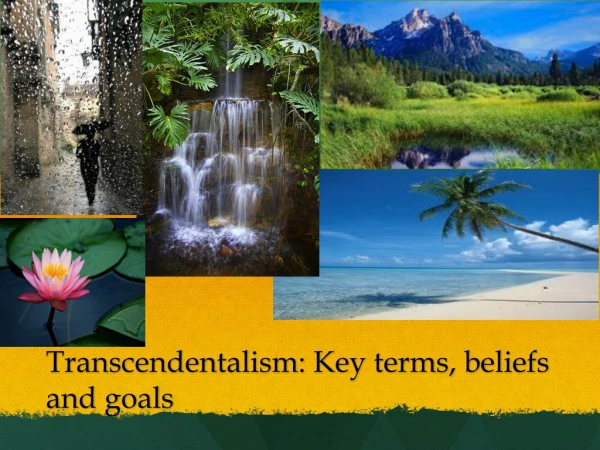 NAT Transcendentalism: Key terms, beliefs and goals
