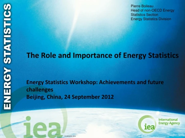 The Role and Importance of Energy Statistics