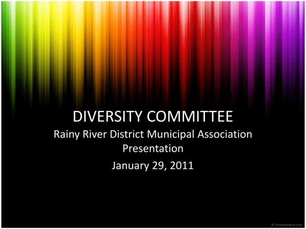 DIVERSITY COMMITTEE