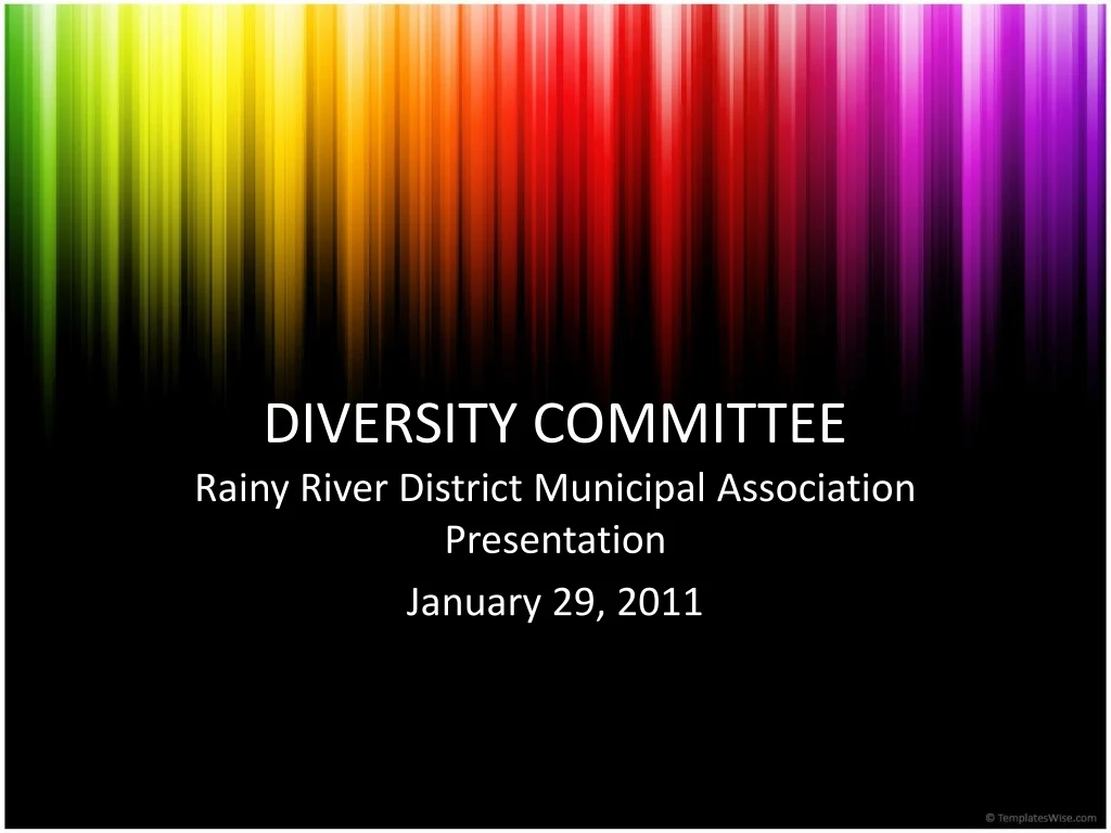 diversity committee