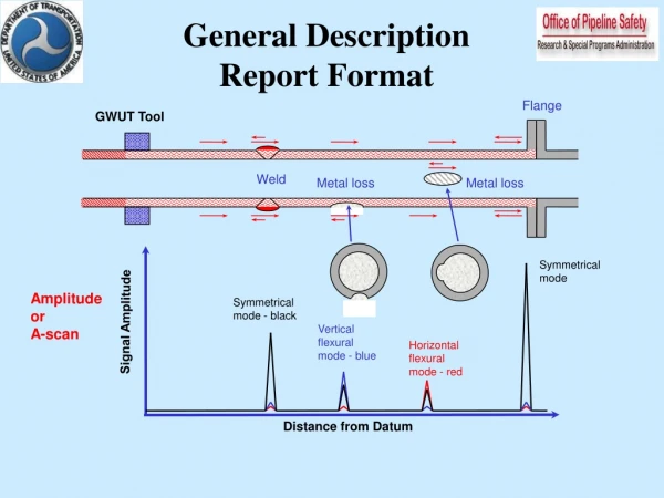 General Description Report Format