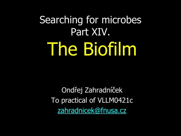 Searching for microbes Part XIV. The Biofilm