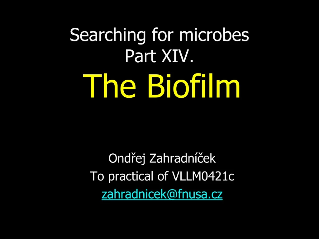 searching for microbes part xiv the biofilm