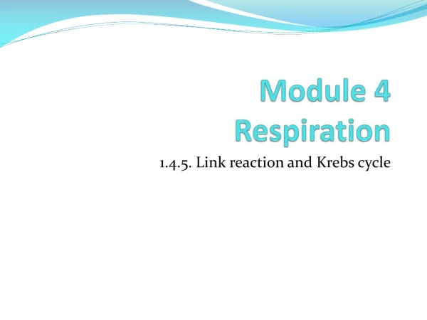 Module 4 Respiration