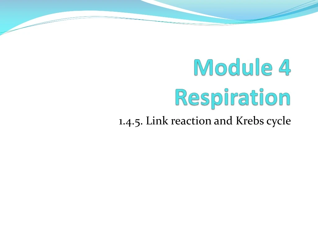 module 4 respiration