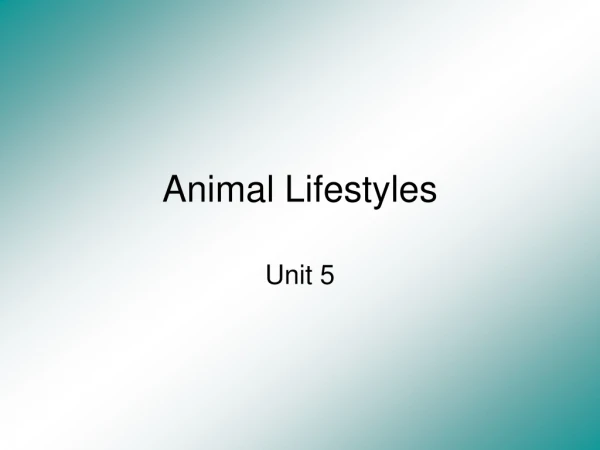 Animal Lifestyles