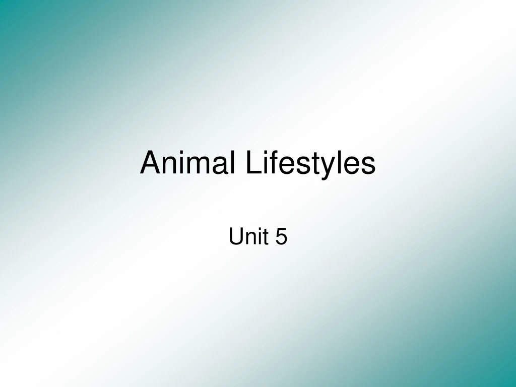 animal lifestyles