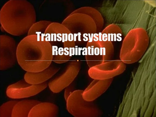 Transport systems Respiration