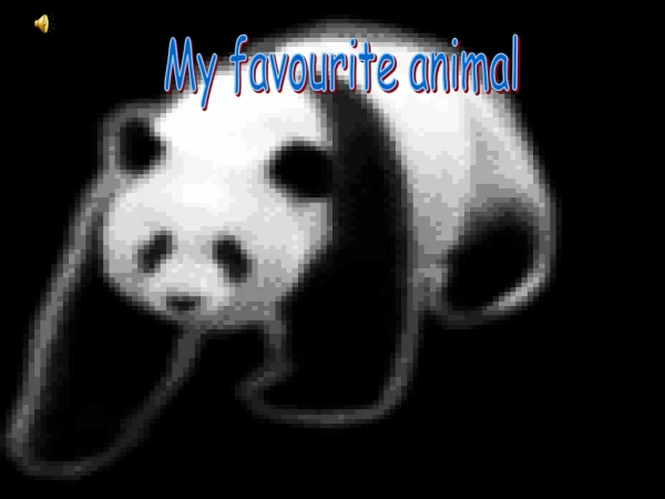 My favourite animal