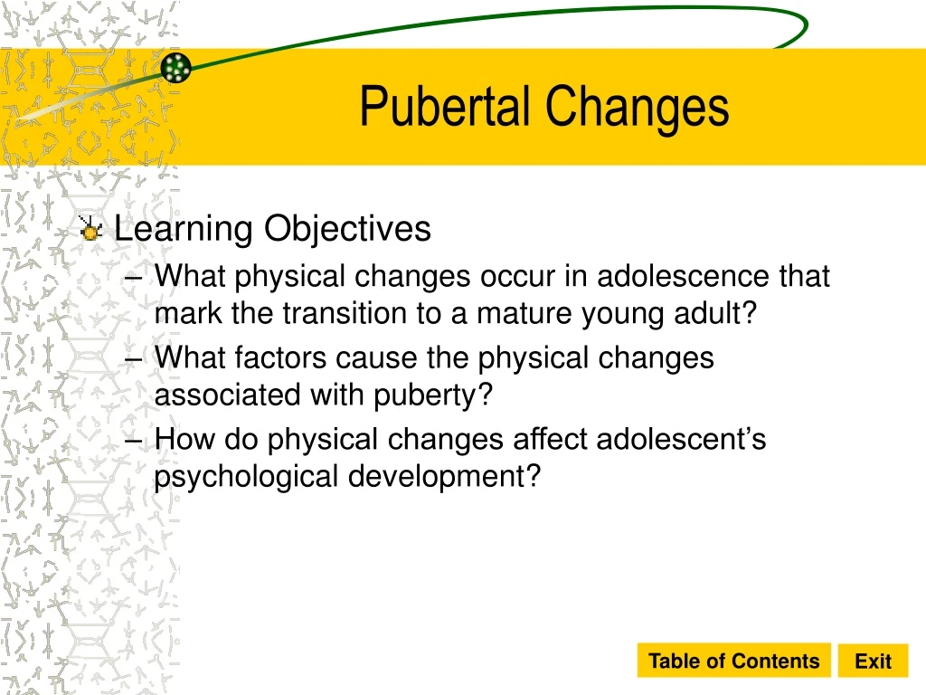 pubertal changes