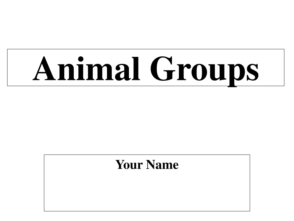 animal groups