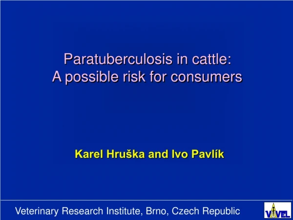 Paratuberculosis in cattle: A possible risk for consumers