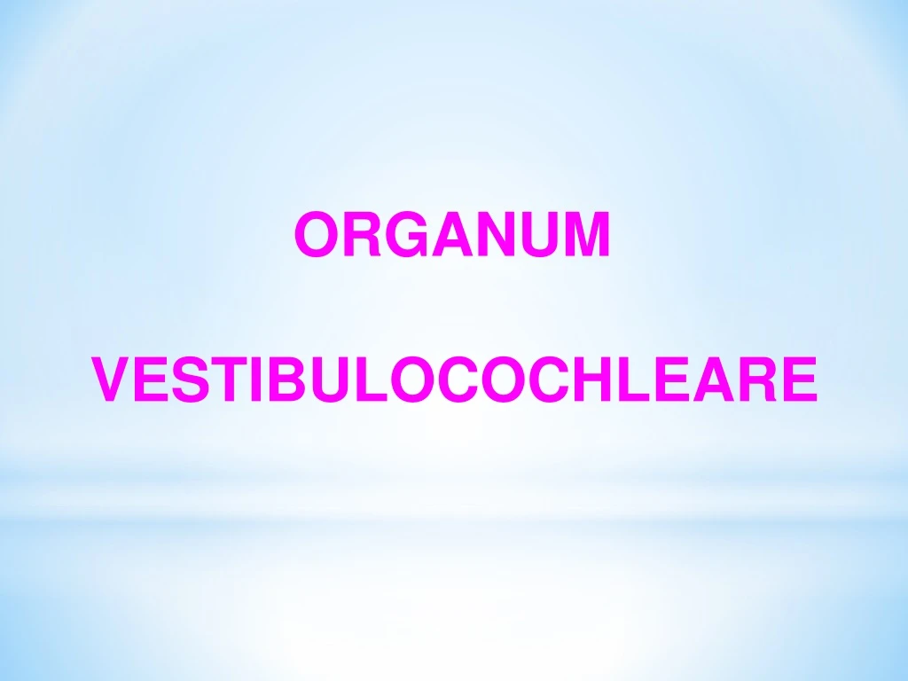 organum vestibulocochleare