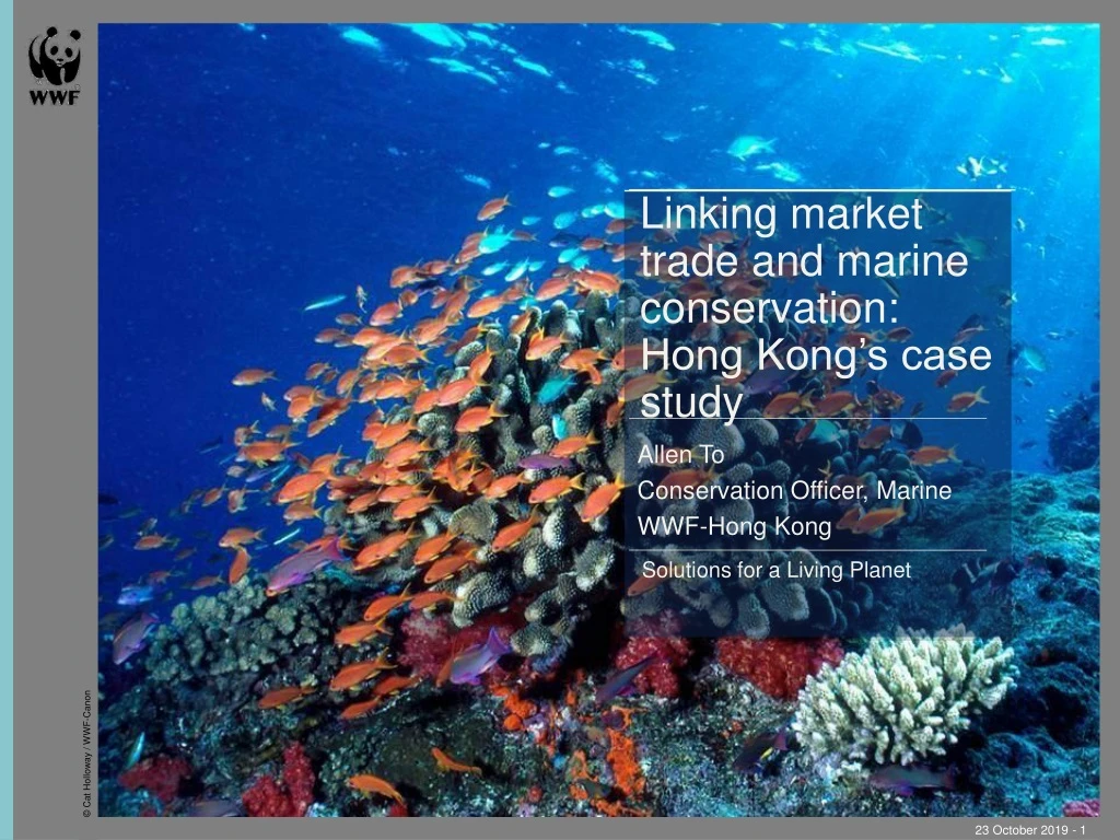 linking market trade and marine conservation hong