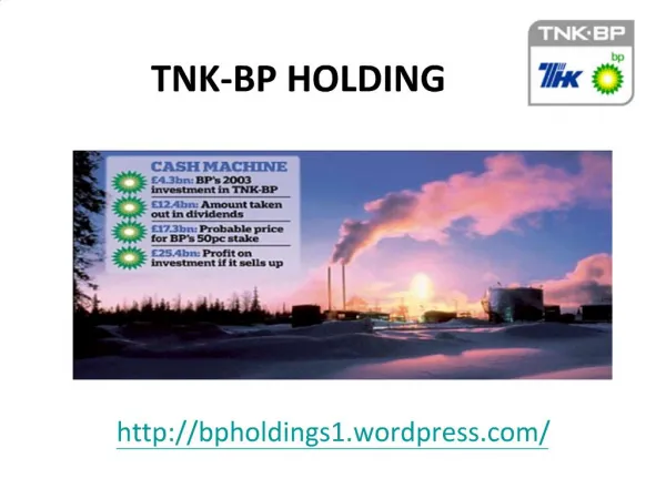 bp holdings capital - TNK-BP HOLDING