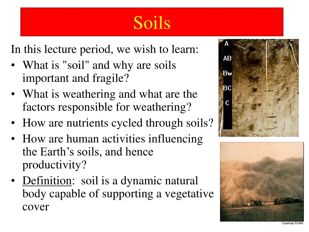 soils