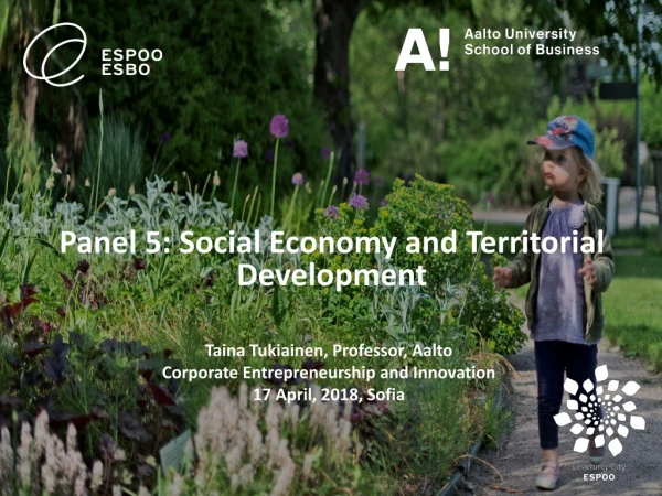 Panel 5: Social Economy and Territorial D evelopment