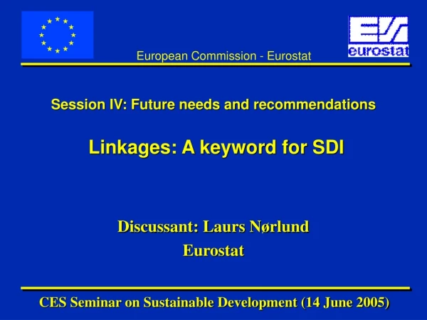 Session IV: Future needs and recommendations Linkages: A keyword for SDI