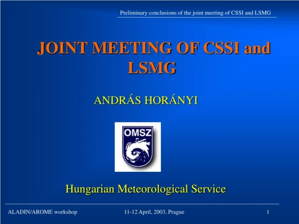 JOINT MEETING OF CSSI and LSMG