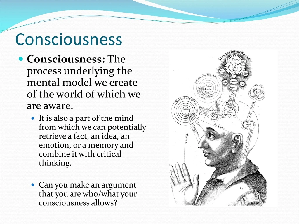 consciousness