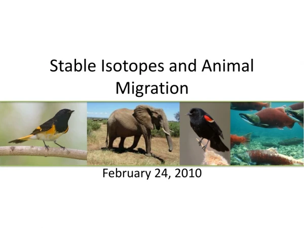 Stable Isotopes and Animal Migration