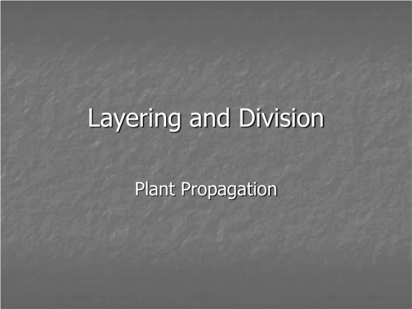 Layering and Division