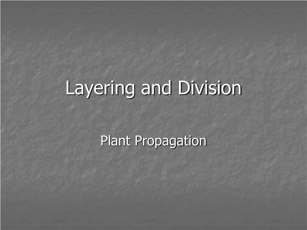 layering and division